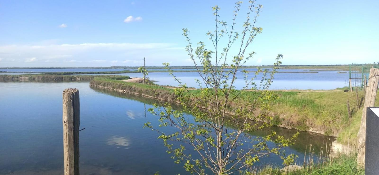 Casa Vacanze Nel Delta Del Po Taglio Di Po ภายนอก รูปภาพ