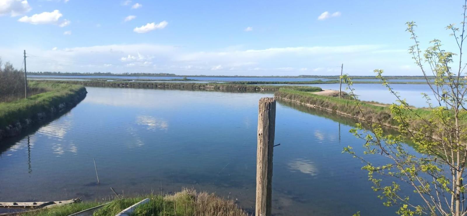 Casa Vacanze Nel Delta Del Po Taglio Di Po ภายนอก รูปภาพ