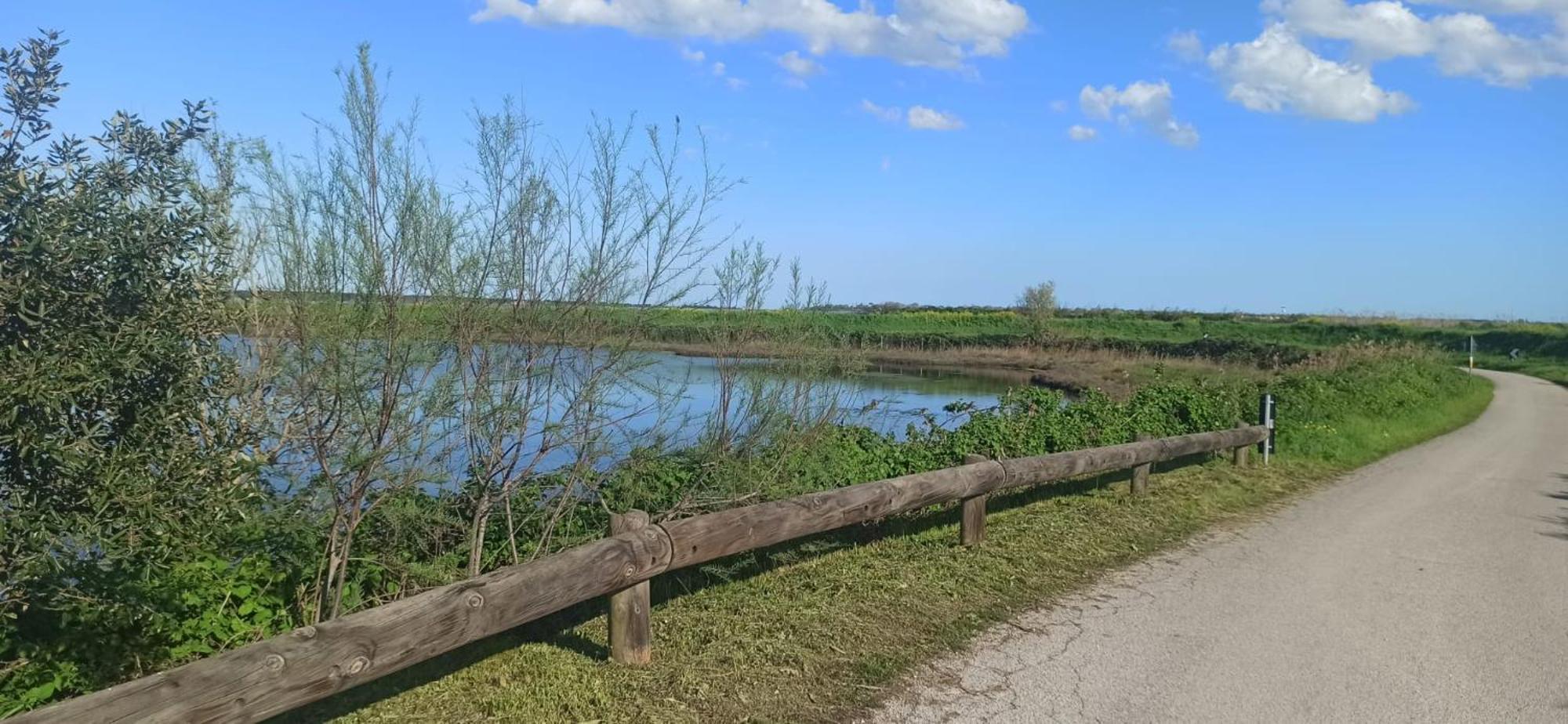 Casa Vacanze Nel Delta Del Po Taglio Di Po ภายนอก รูปภาพ