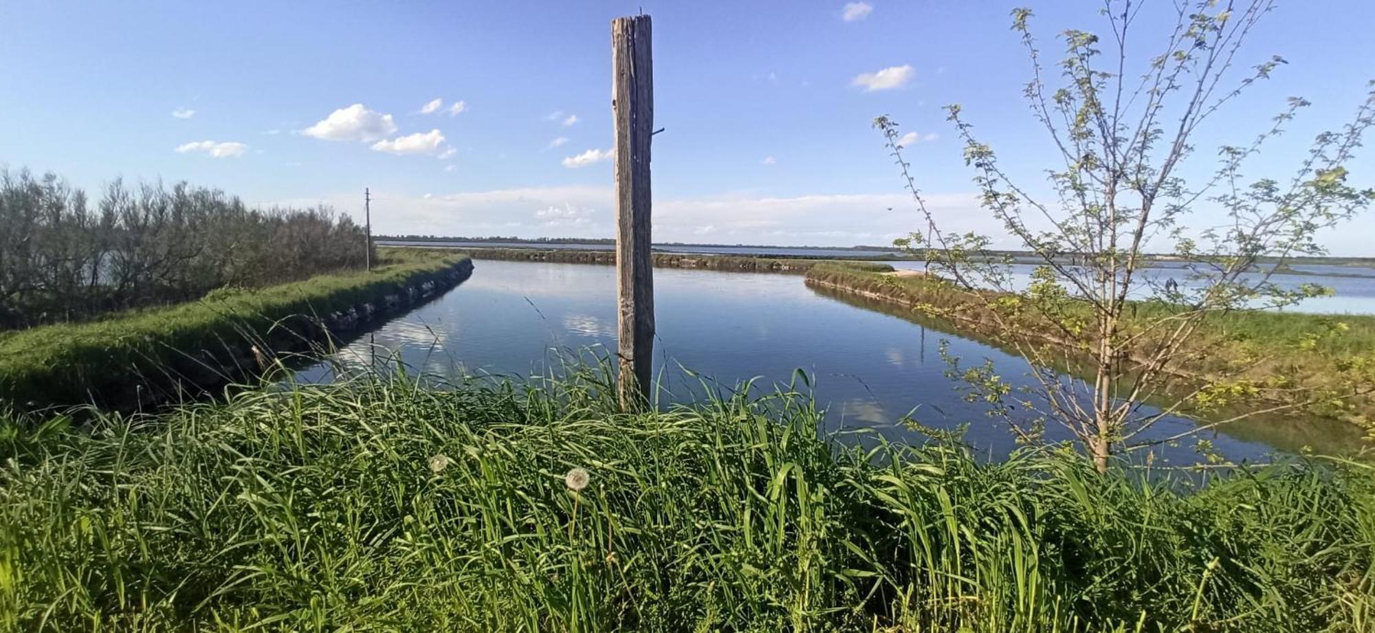 Casa Vacanze Nel Delta Del Po Taglio Di Po ภายนอก รูปภาพ